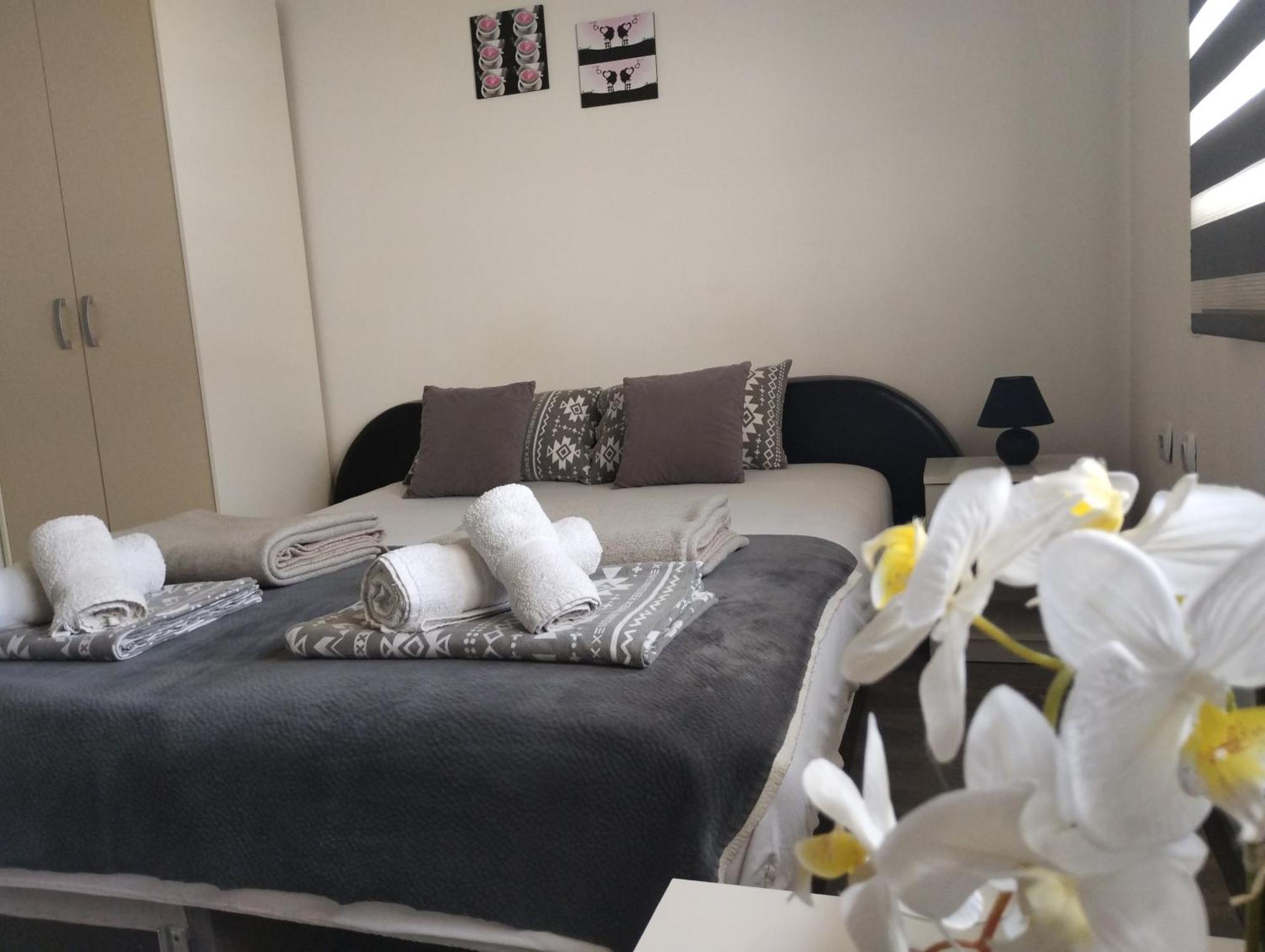 Happy Star Apartment Nis Bagian luar foto