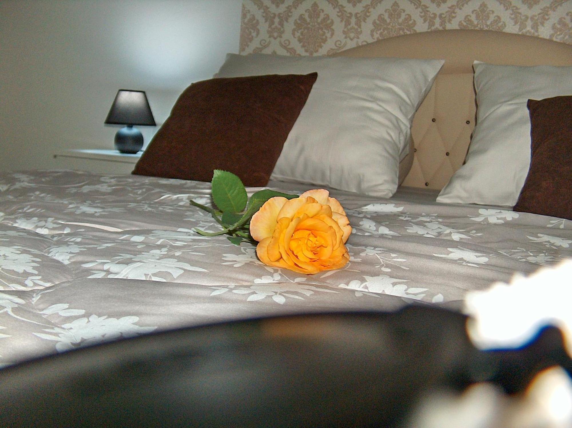Happy Star Apartment Nis Bagian luar foto