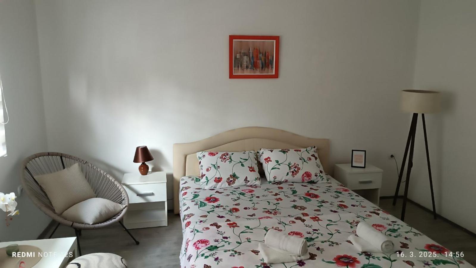 Happy Star Apartment Nis Bagian luar foto